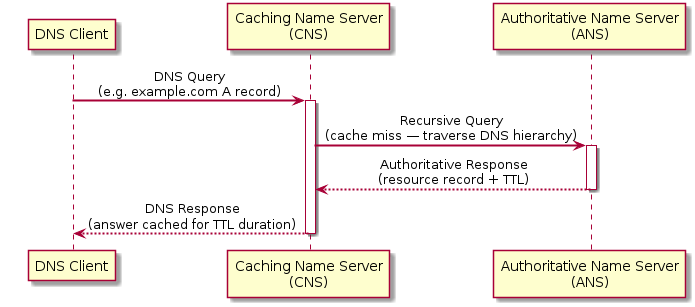DNS CNS-ANS Workflow